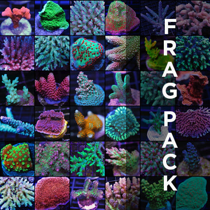 FRAG PACKS